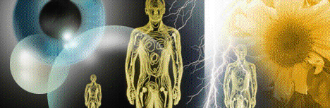 science banner